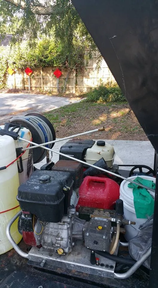 Professional yard cleanup service experts serving Lakeland, FL - Tree Rehab