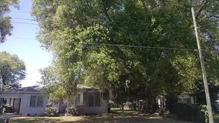 Top-rated landscaping services for year-round maintenance across Lakeland, FL - Tree Rehab