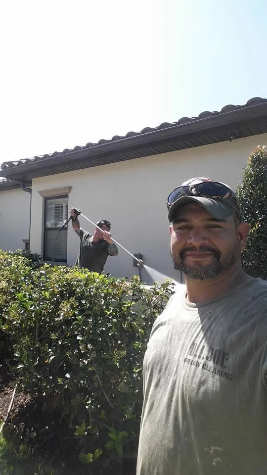 Custom lawn care service experts serving Lakeland, FL - Tree Rehab