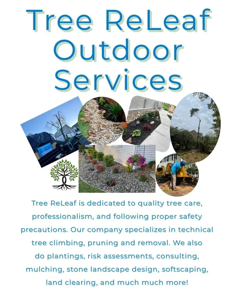 Trusted yard maintenance in Englishtown, NJ - Tree ReLeaf