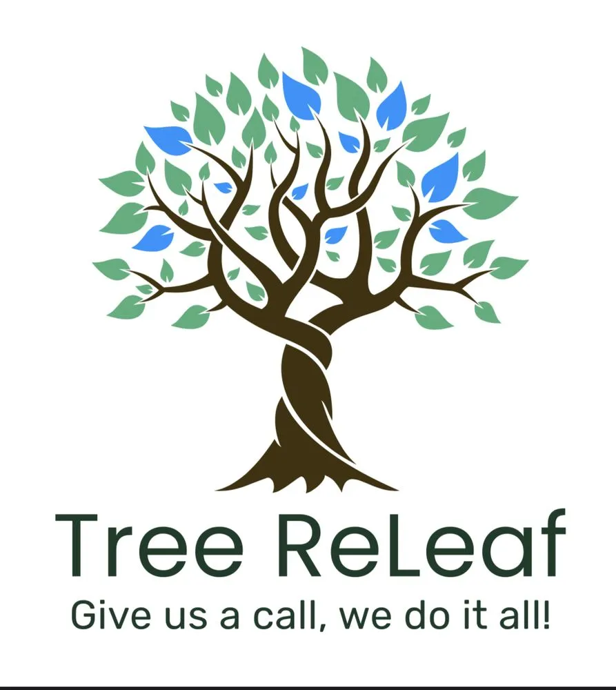 Local yard cleanup service in Englishtown, NJ - Tree ReLeaf