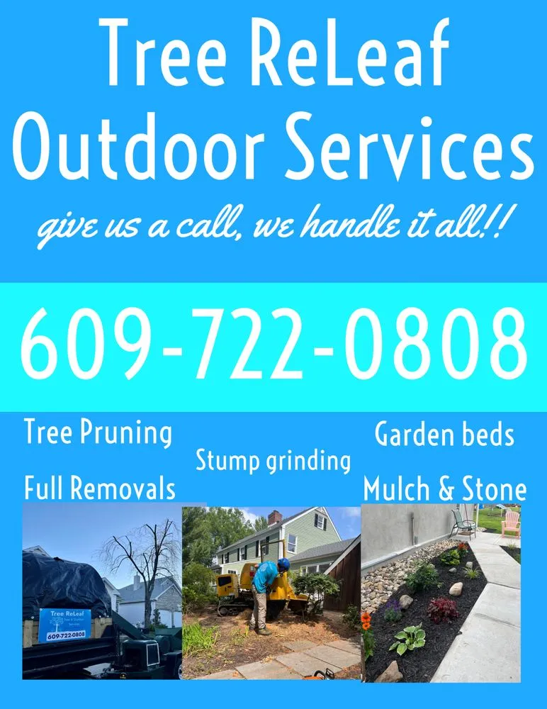 Affordable yard cleanup service in Englishtown, NJ - Tree ReLeaf
