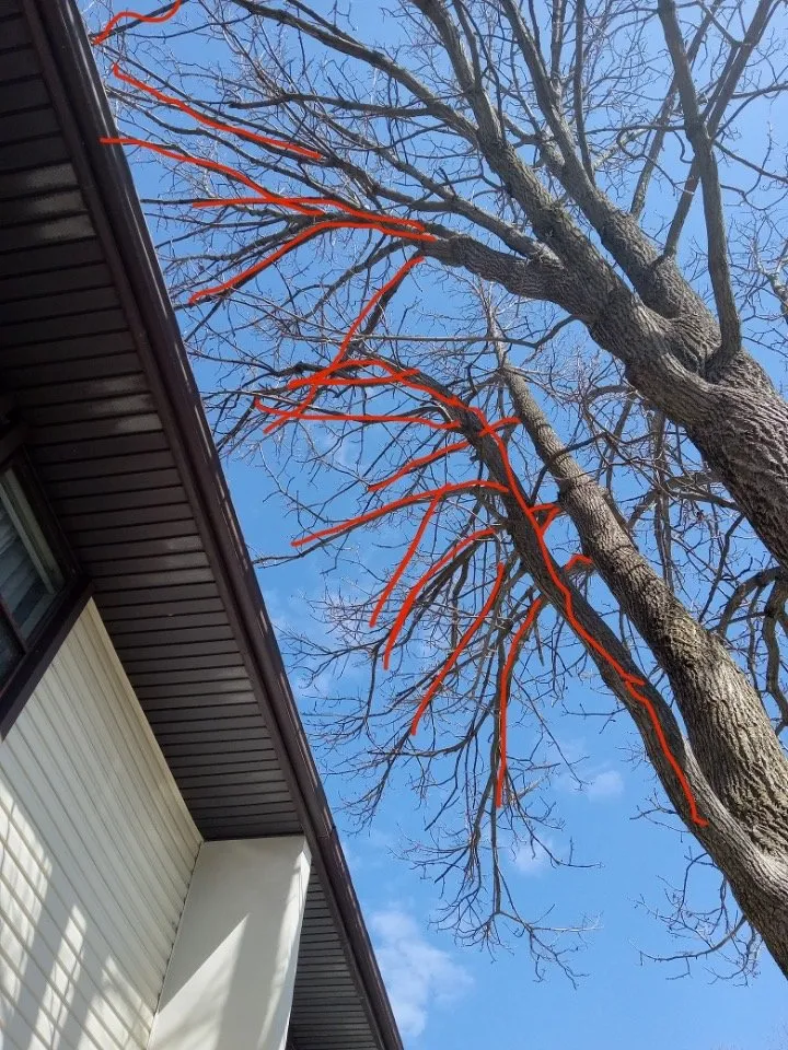 Local landscape design in Englishtown, NJ - Tree ReLeaf