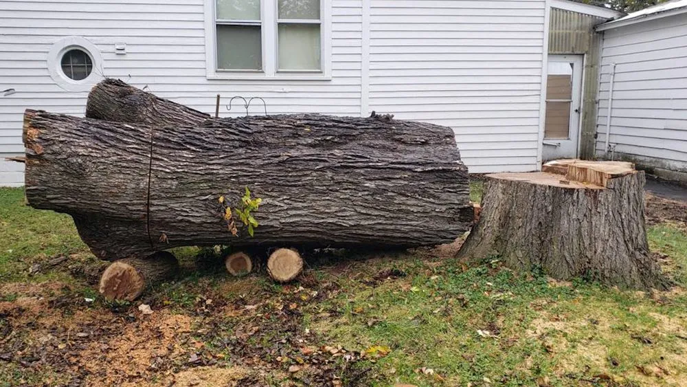 Top-rated residential landscaping in Englishtown, NJ by Tree ReLeaf