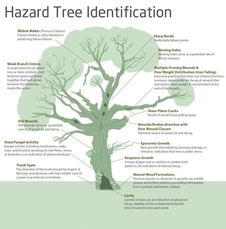 Reliable outdoor landscaping for beautiful yards in Englishtown, NJ by Tree ReLeaf