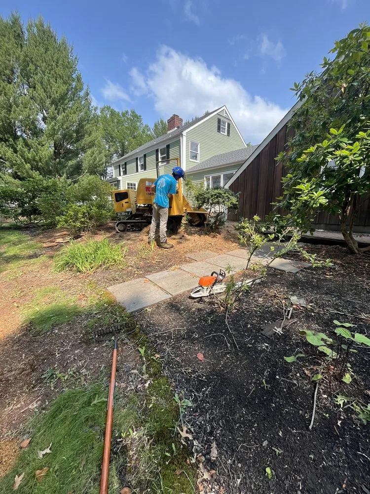 Reliable outdoor landscaping experts serving Englishtown, NJ - Tree ReLeaf