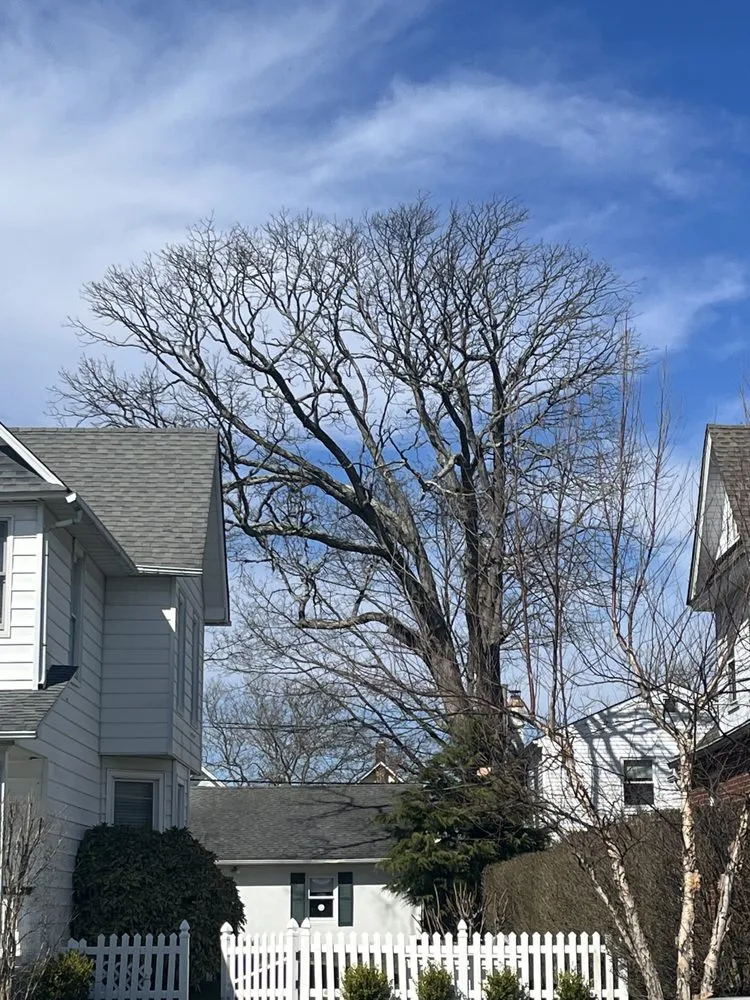 Trusted garden landscaping with custom design across Englishtown, NJ - Tree ReLeaf