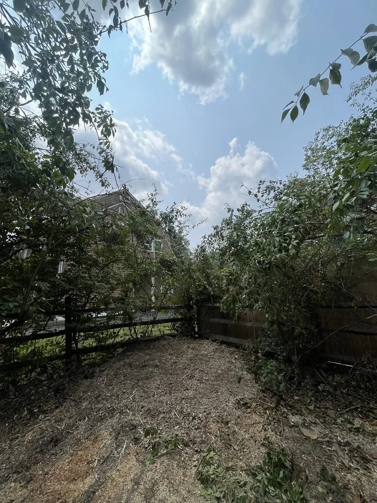 Professional residential landscaping in Englishtown, NJ by Tree ReLeaf