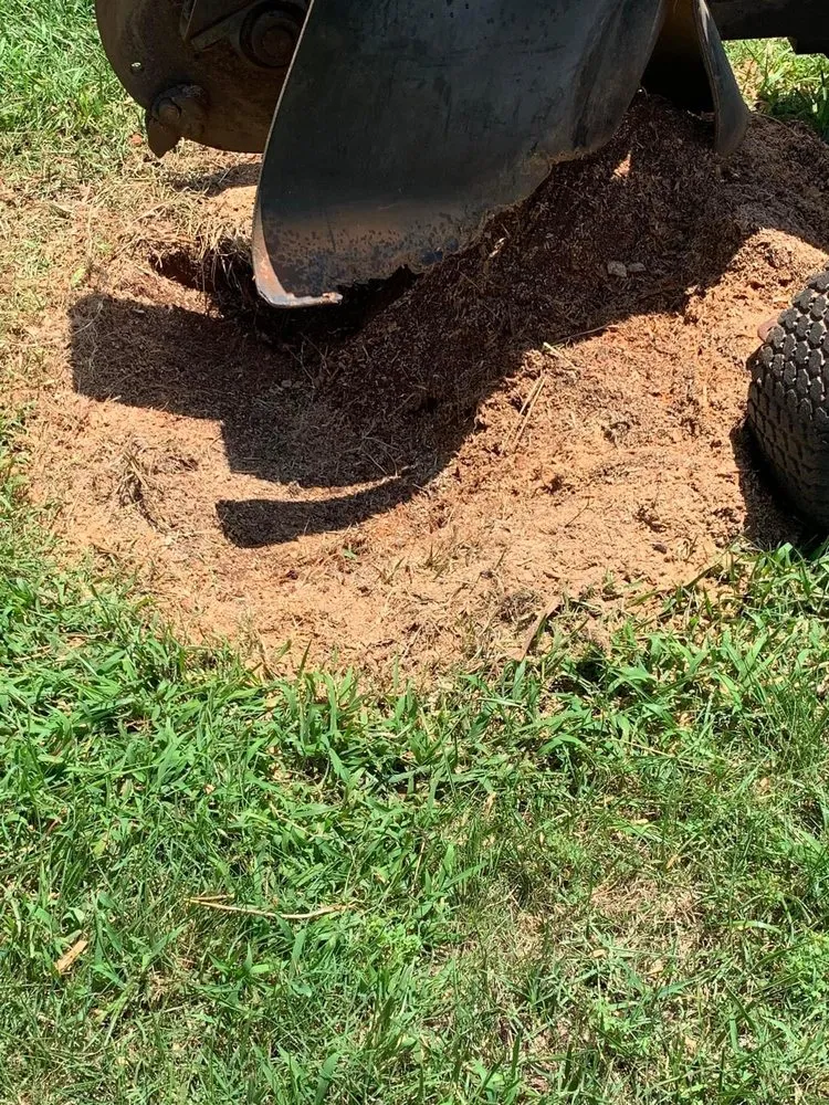 Affordable landscaping services experts serving Saluda, SC - Tree Removal and Landscaping