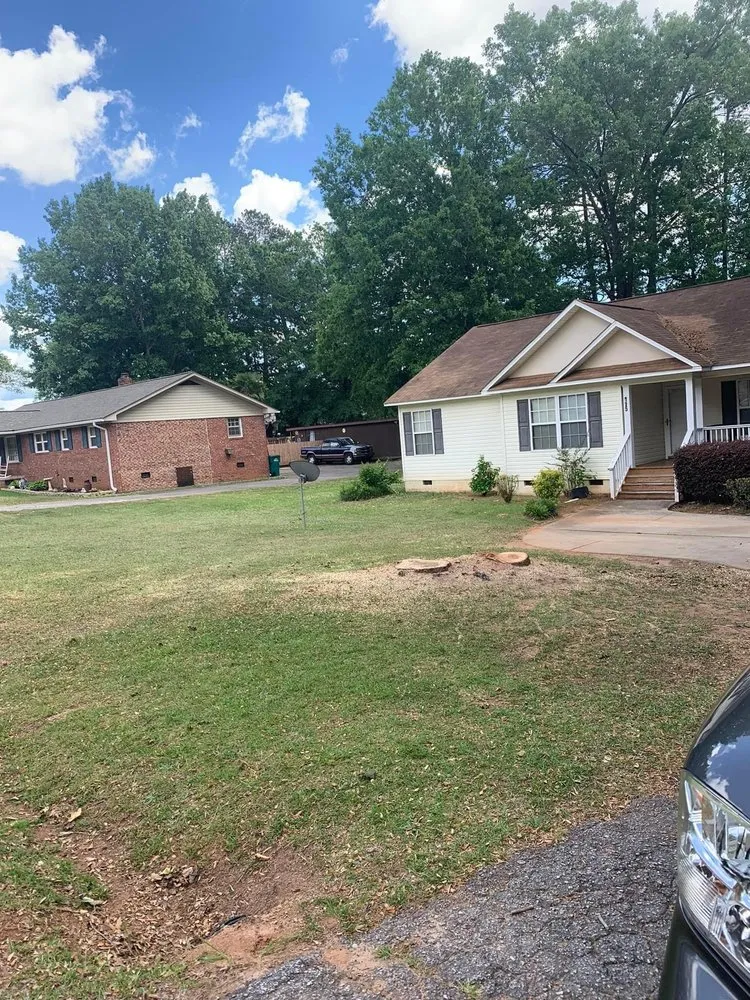 Top-rated landscaping services for residential properties in Saluda, SC by Tree Removal and Landscaping