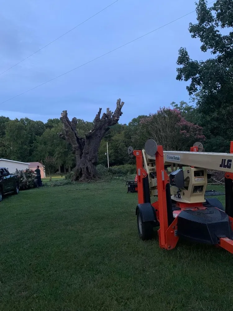 Expert yard cleanup service in Saluda, SC by Tree Removal and Landscaping