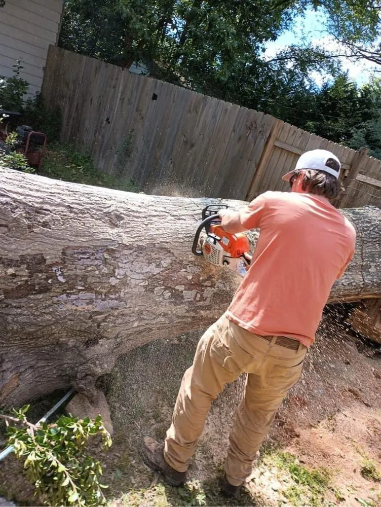 Expert outdoor landscaping for homes across Saluda, SC - Tree Removal and Landscaping