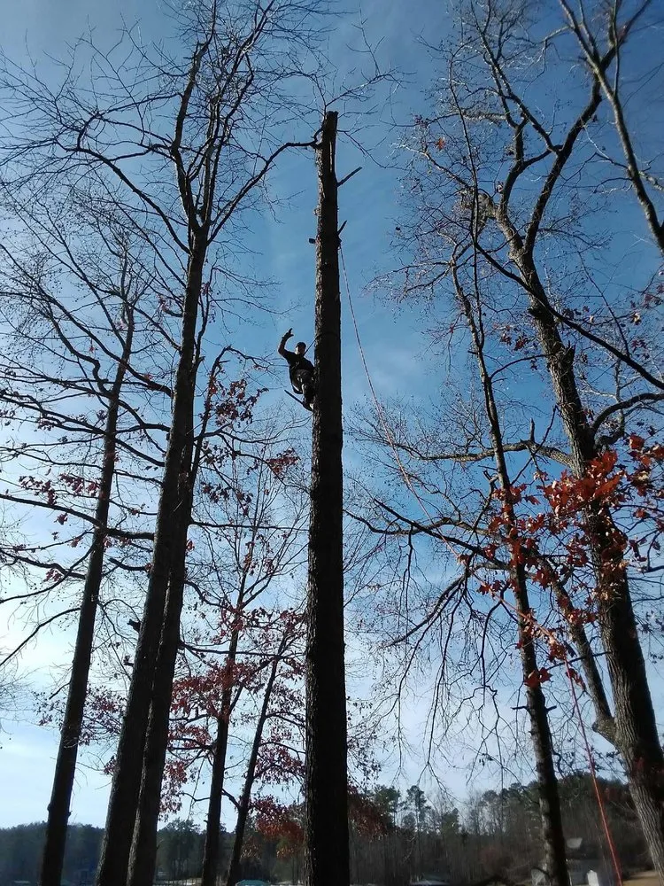 Local landscape installation for outdoor upgrades in Saluda, SC by Tree Removal and Landscaping