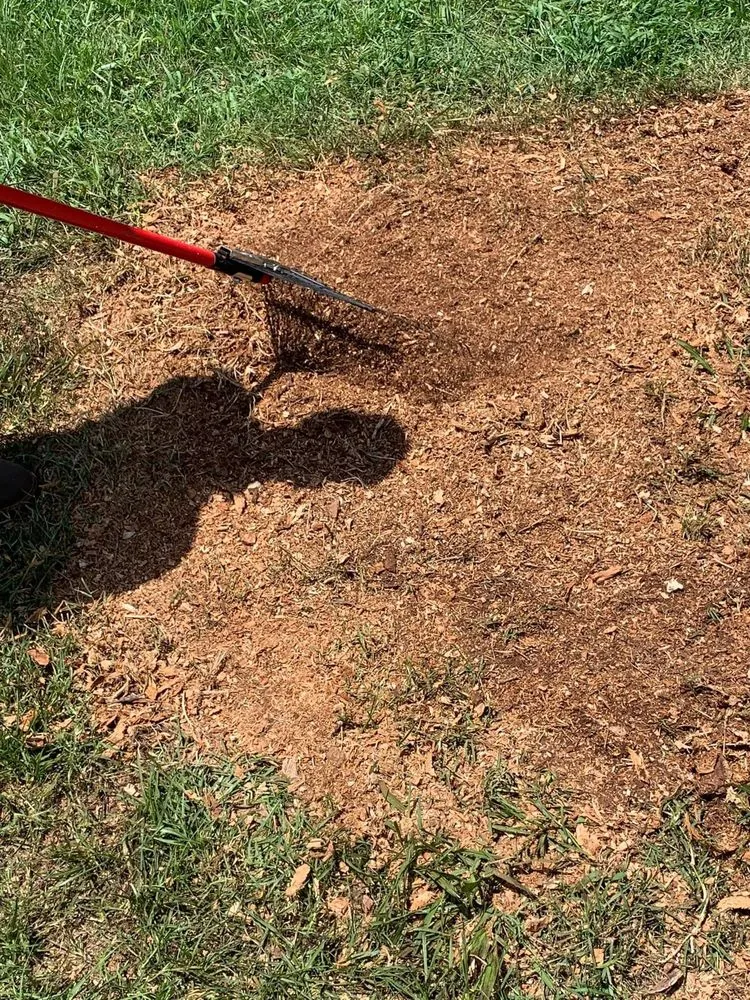 Expert lawn mowing service in Saluda, SC by Tree Removal and Landscaping