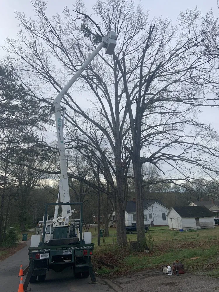 Professional yard cleanup service in Saluda, SC - Tree Removal and Landscaping