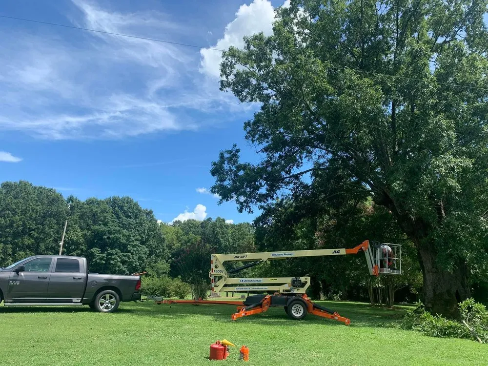 Custom garden landscaping for beautiful yards across Saluda, SC - Tree Removal and Landscaping