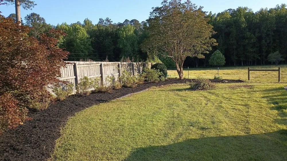 Top-rated landscaping services experts serving Saluda, SC - Tree Removal and Landscaping