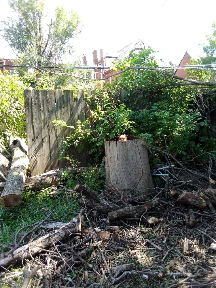 Custom garden landscaping in St. Louis, MO - Tree Removal And Lawn Service