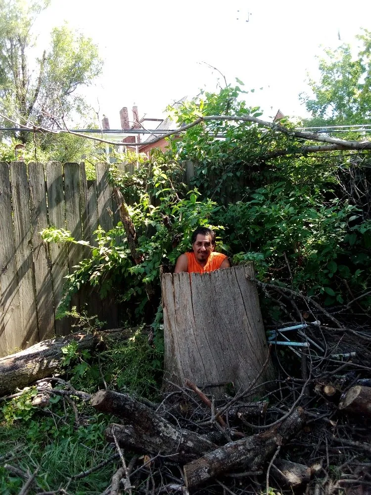 Custom garden landscaping experts serving St. Louis, MO - Tree Removal And Lawn Service