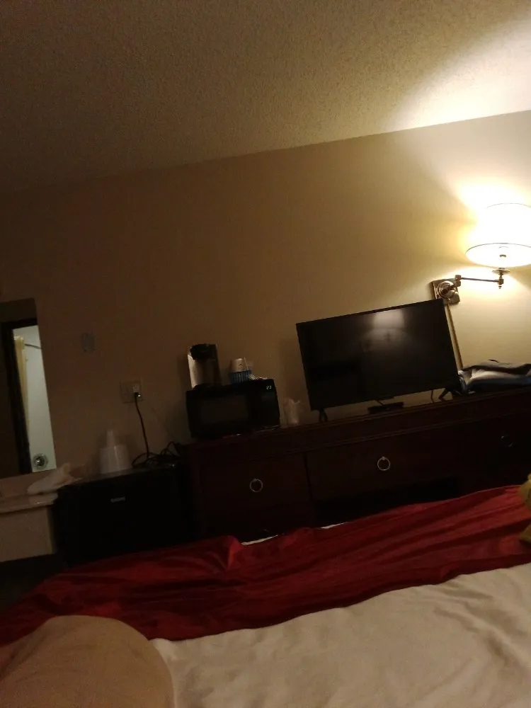 Expert landscaping services for year-round maintenance in St. Louis, MO by Tree Removal And Lawn Service