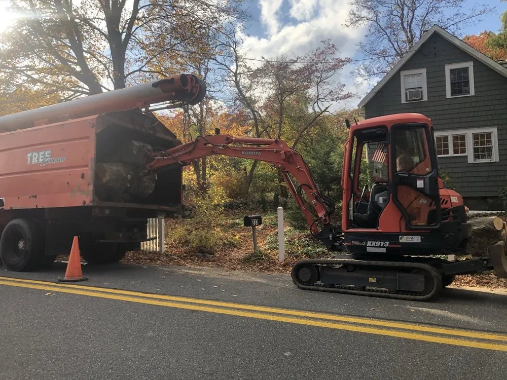 Top-rated landscape design for homes across Hamden, CT - Tree Removal by Tom Mathews