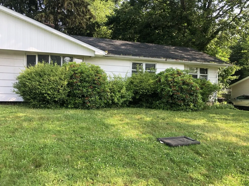 Local outdoor landscaping in Hamden, CT - Tree Removal by Tom Mathews