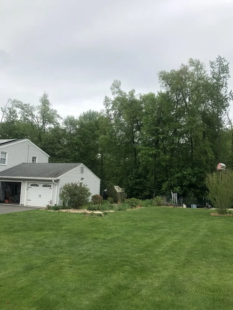 Trusted yard maintenance for year-round maintenance in Hamden, CT by Tree Removal by Tom Mathews