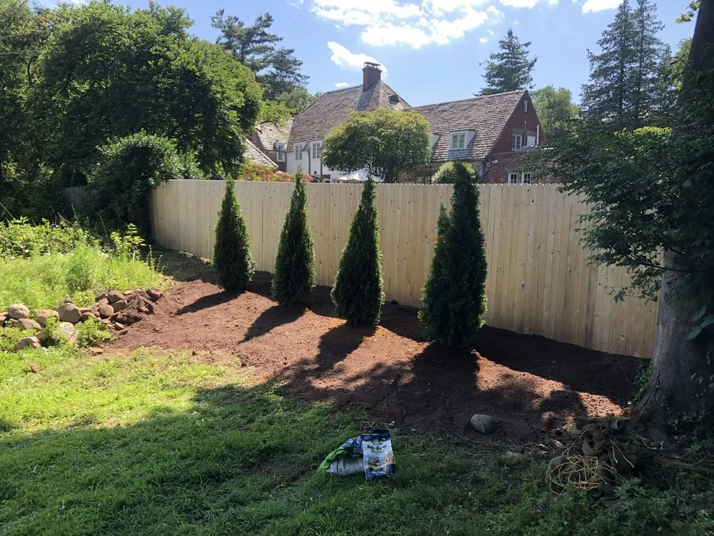 Expert yard cleanup service in Hamden, CT by Tree Removal by Tom Mathews