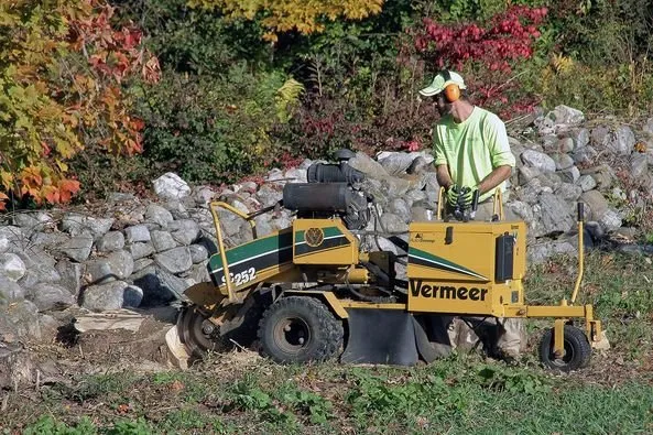 Affordable landscape installation in Hamden, CT - Tree Removal by Tom Mathews