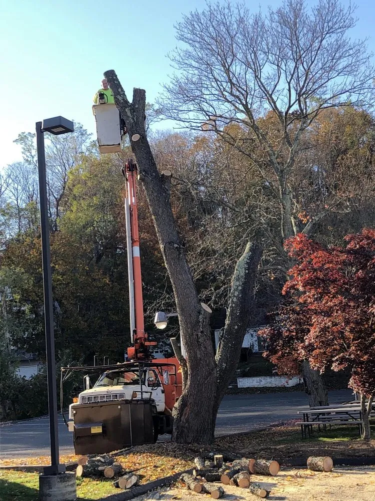 Local outdoor landscaping in Hamden, CT by Tree Removal by Tom Mathews