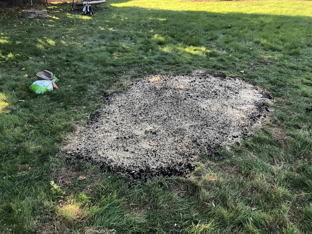 Affordable residential landscaping in Hamden, CT - Tree Removal by Tom Mathews