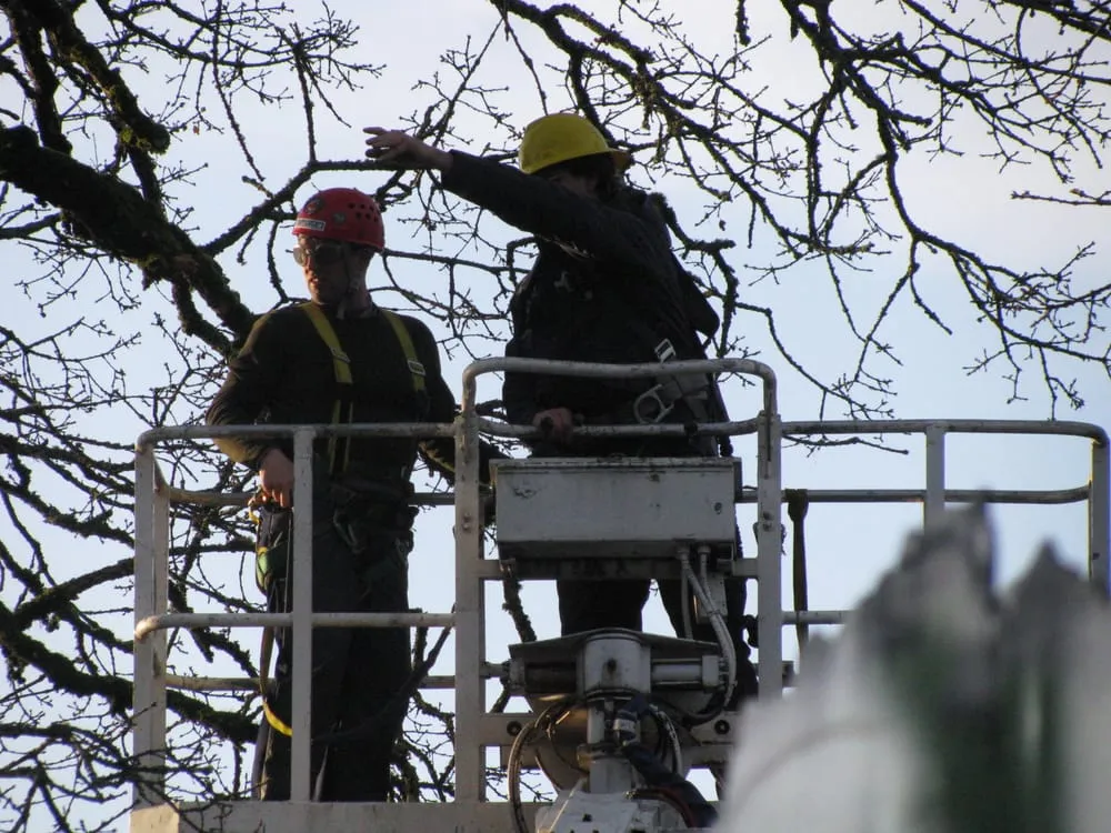 Reliable outdoor landscaping experts serving Federal Way, WA - Tree Resource