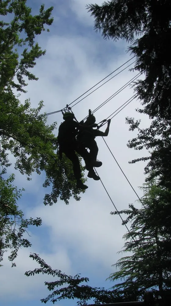 Custom lawn care service in Federal Way, WA by Tree Resource