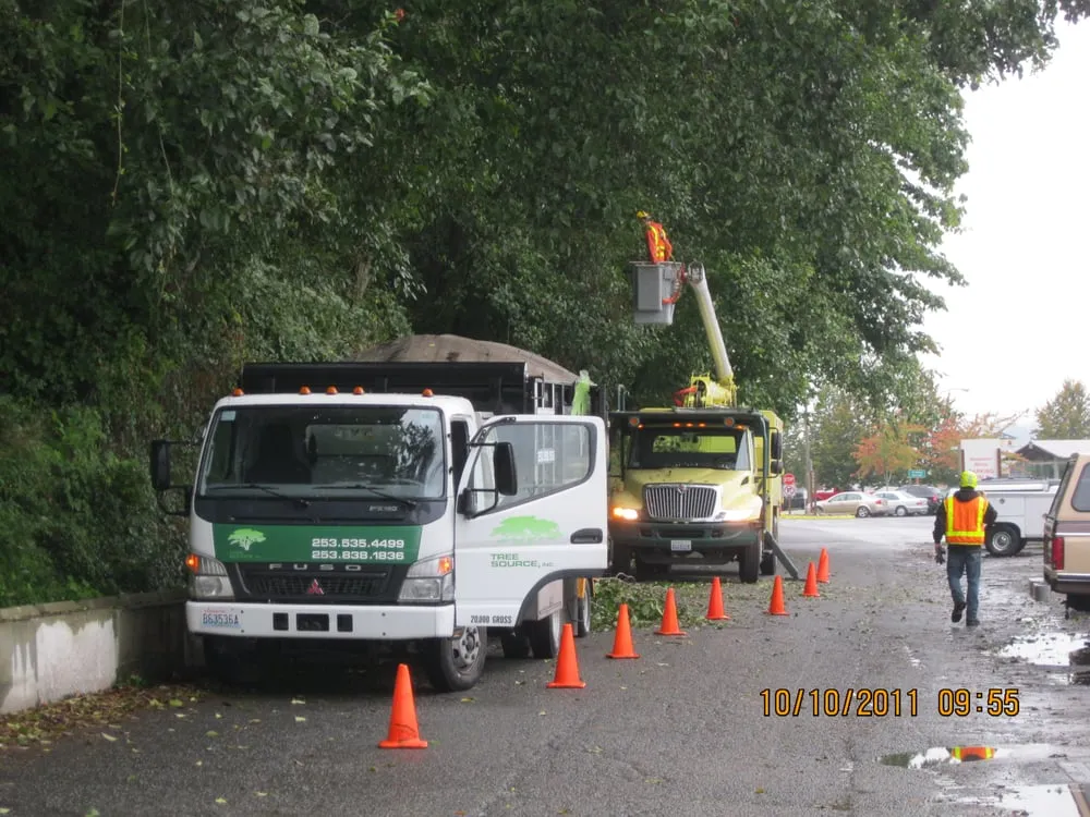 Local yard maintenance in Federal Way, WA by Tree Resource