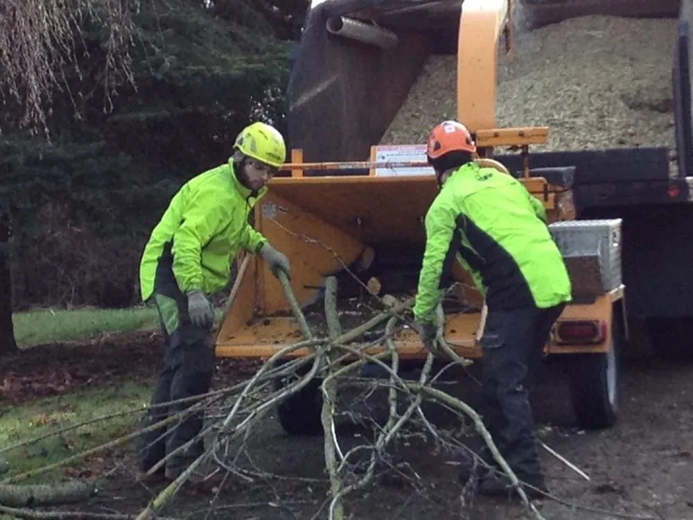 Professional lawn mowing service in Federal Way, WA by Tree Resource