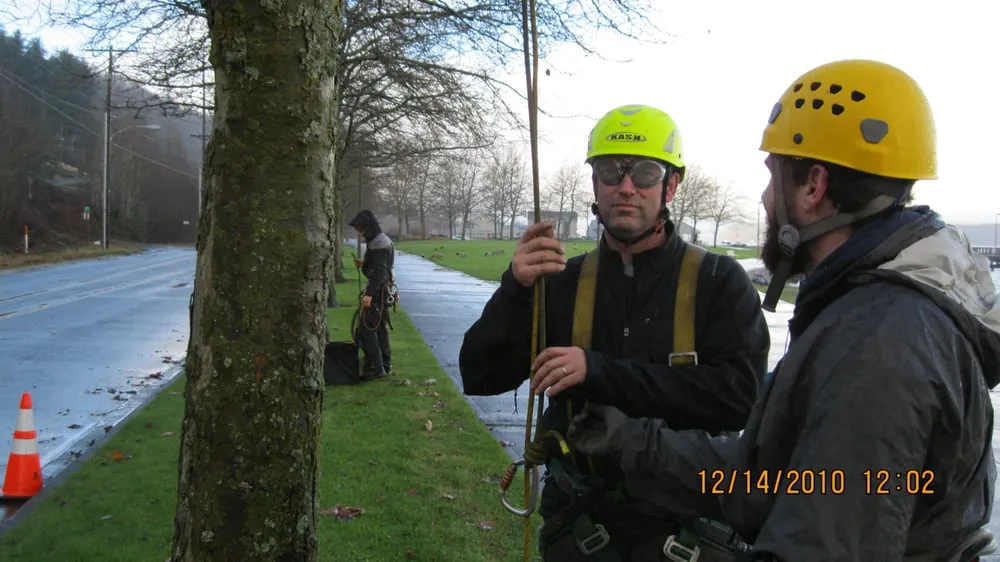 Expert outdoor landscaping experts serving Federal Way, WA - Tree Resource