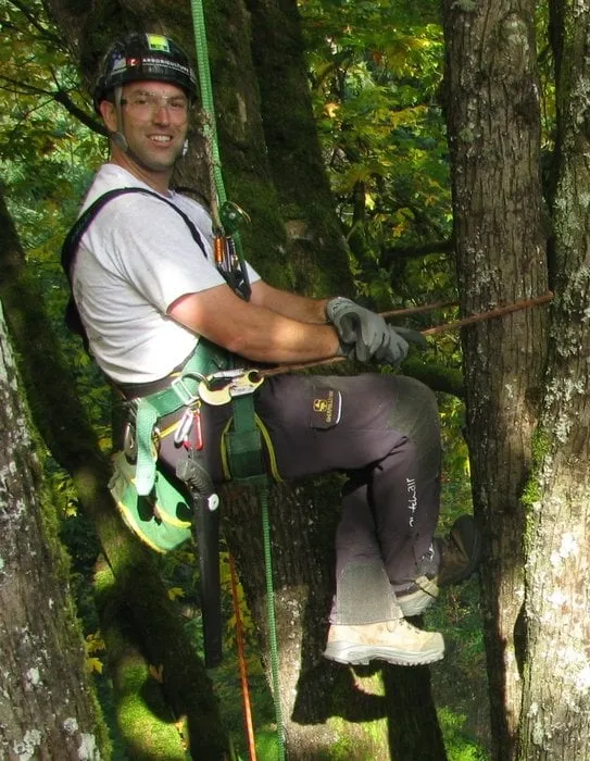 Trusted garden landscaping in Federal Way, WA by Tree Resource