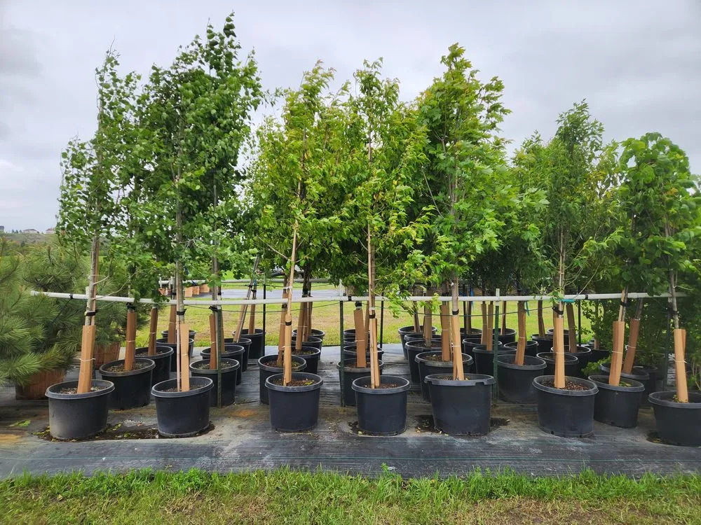 Expert lawn care service in Bismarck, ND by Tree Rows 4 U