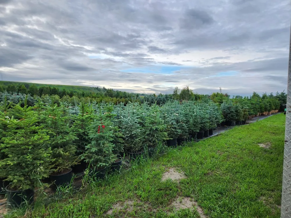 Expert residential landscaping experts serving Bismarck, ND - Tree Rows 4 U