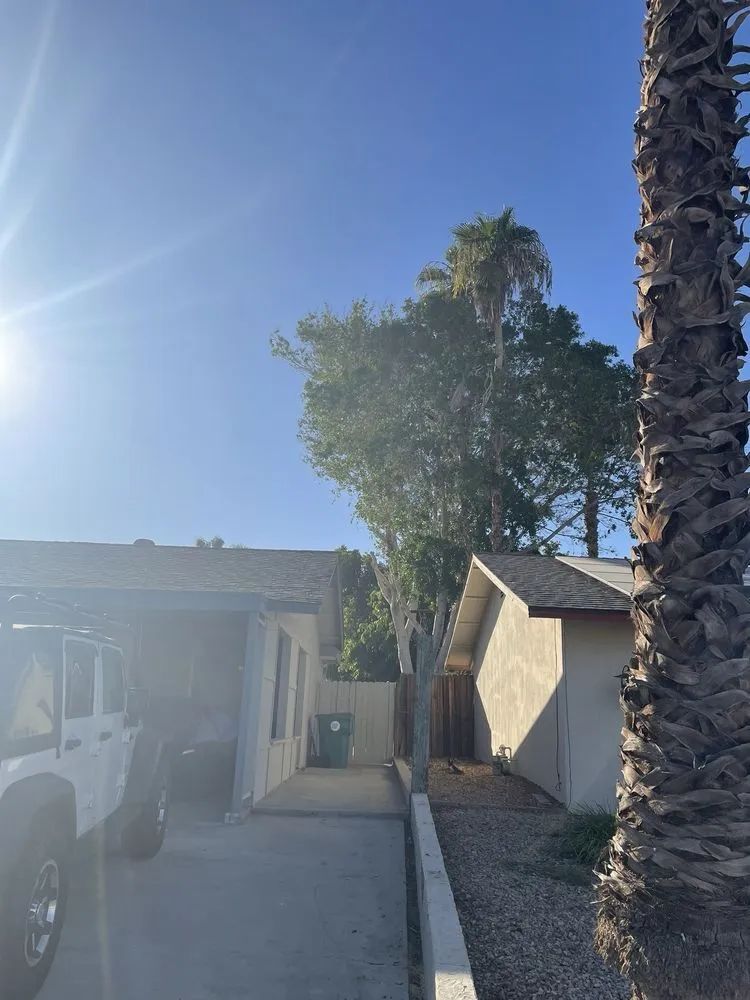 Affordable yard cleanup service in La Quinta, CA - Tree Scape