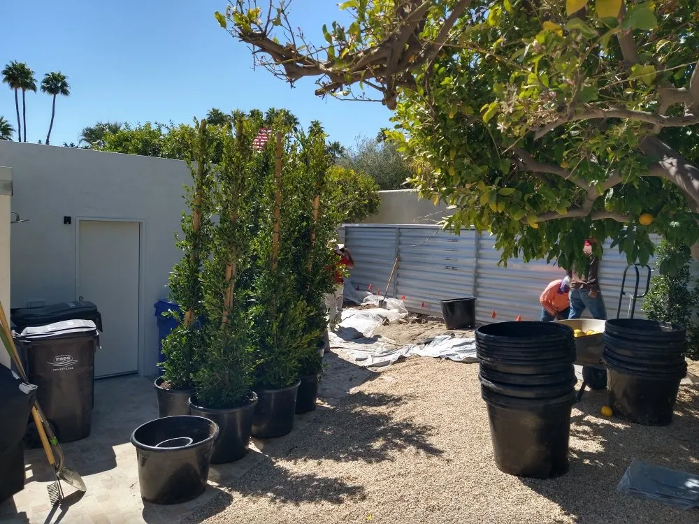 Top-rated yard maintenance near you in La Quinta, CA by Tree Scape