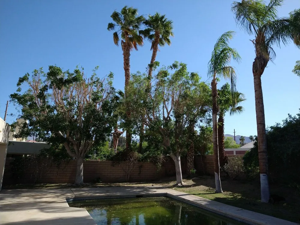Expert outdoor landscaping experts serving La Quinta, CA - Tree Scape