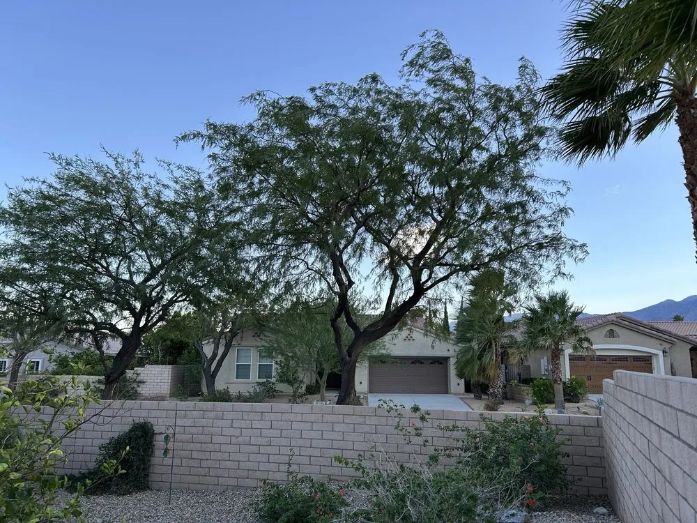 Top-rated landscape installation in La Quinta, CA by Tree Scape