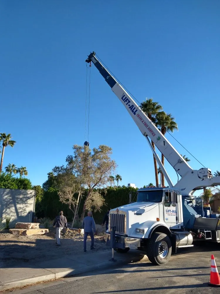 Custom lawn care service for year-round maintenance across La Quinta, CA - Tree Scape