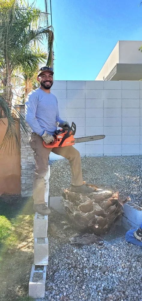 Trusted outdoor landscaping in La Quinta, CA - Tree Scape