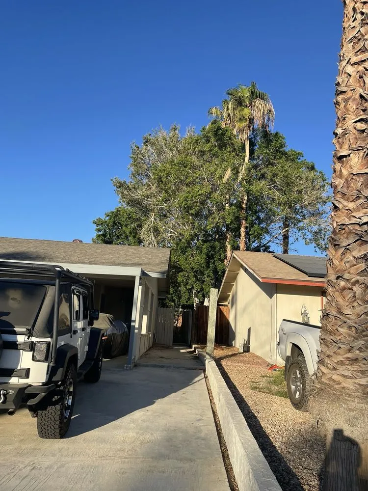 Reliable landscape installation with custom design across La Quinta, CA - Tree Scape