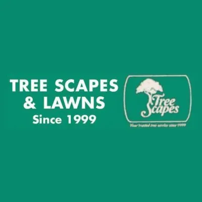 Local lawn mowing service experts serving Sarasota, FL - Tree Scapes