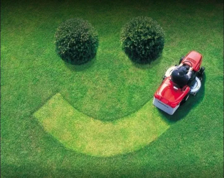 Affordable lawn mowing service in Avon, CO - Tree Selects and Landscaping