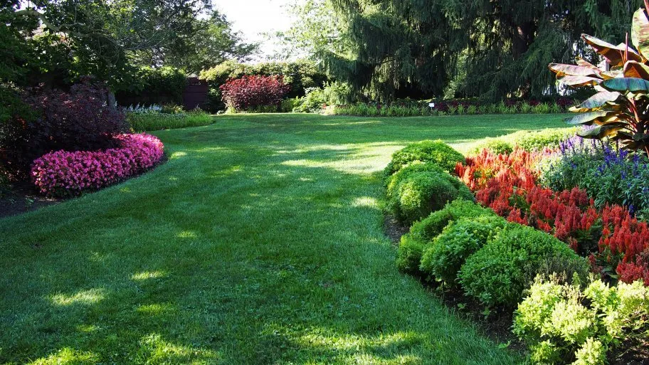 Professional outdoor landscaping for beautiful yards in Avon, CO by Tree Selects and Landscaping