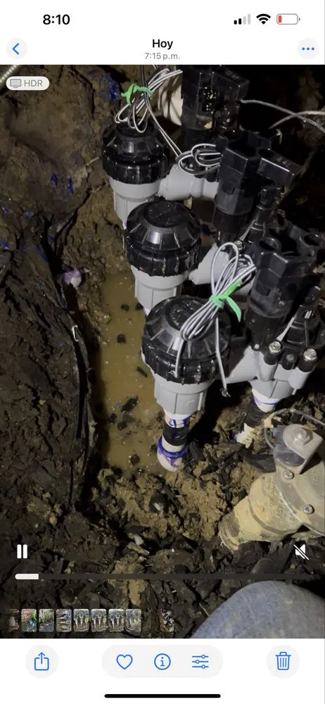 Expert yard cleanup service in Santa Clarita, CA - Tree Service and Landscaping